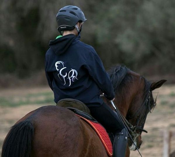 BRODATS INDUSTRIALS caballo con jinete