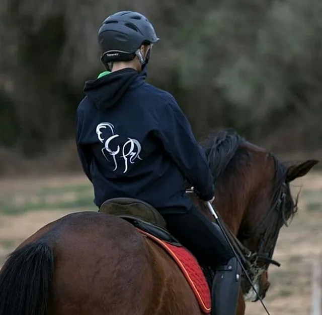 BRODATS INDUSTRIALS caballo con jinete